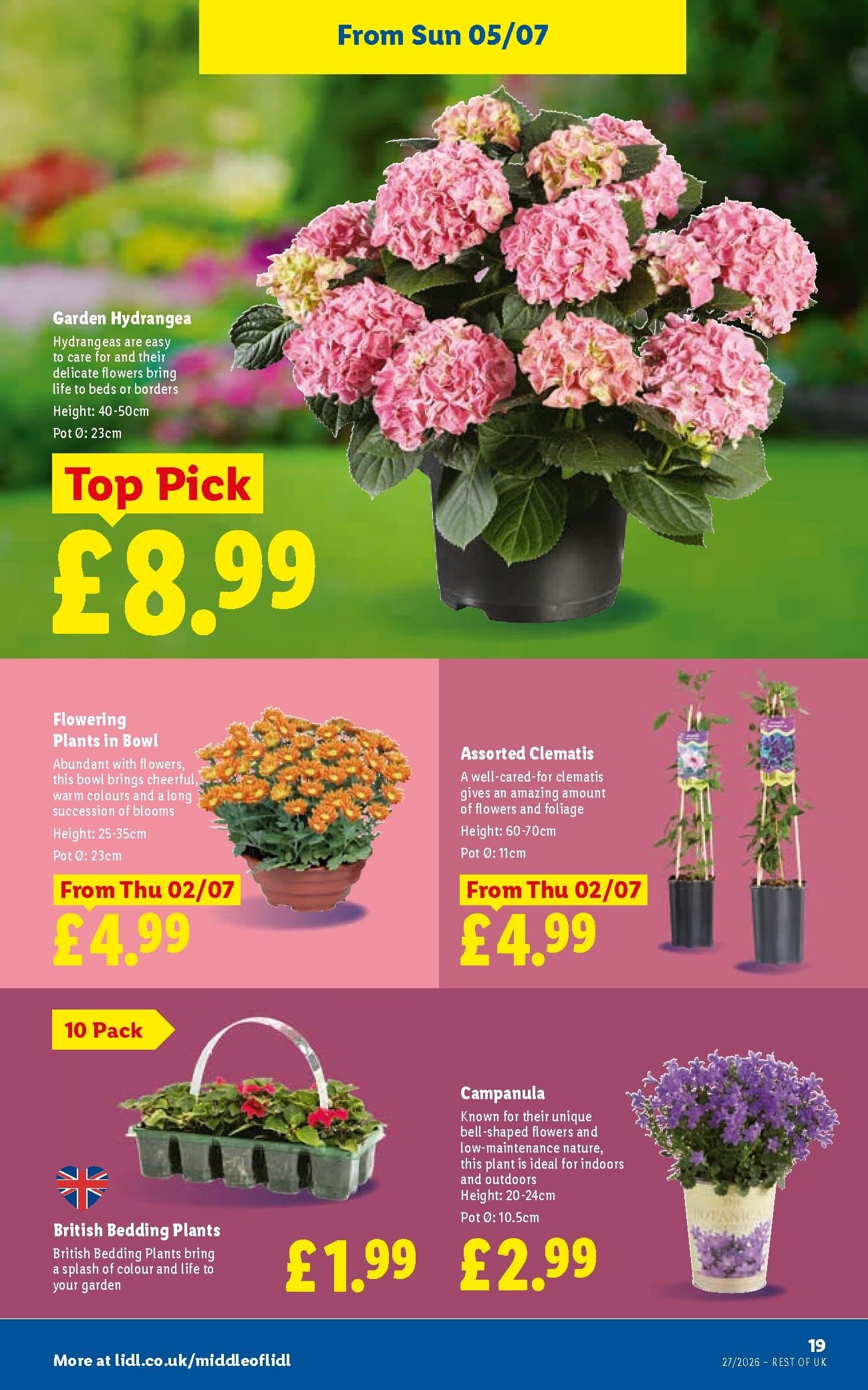 Lidl Weekly Leaflet - England page 19