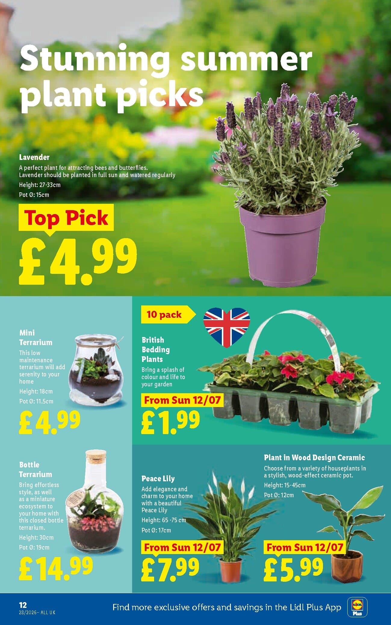 Lidl Weekly Leaflet - England page 14